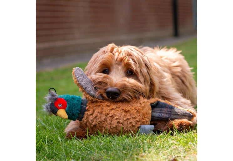 Ancol Heritage Phoebe Pheasant Dog Toy