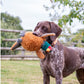 Ancol Heritage Phoebe Pheasant Dog Toy
