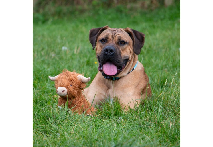 Ancol Heritage Fergus Highland Cow Dog Toy