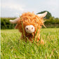 Ancol Heritage Fergus Highland Cow Dog Toy