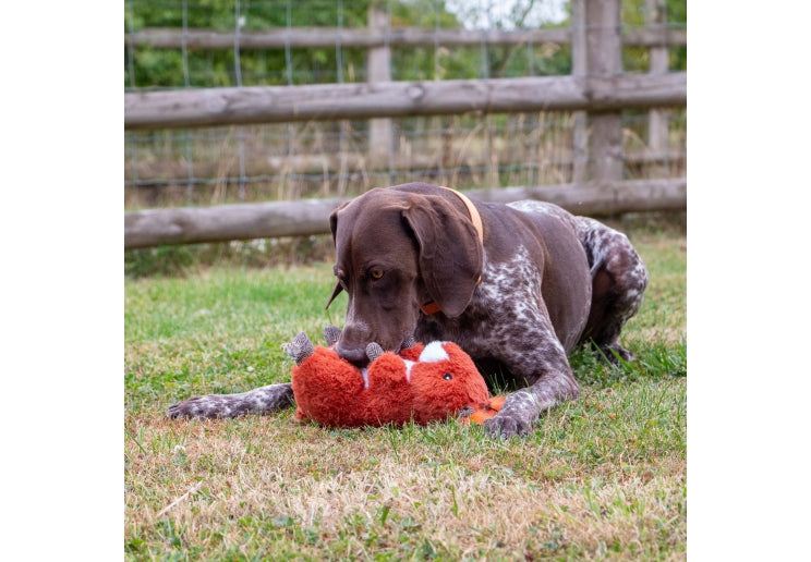 Ancol Heritage Samantha Squirrel Dog Toy