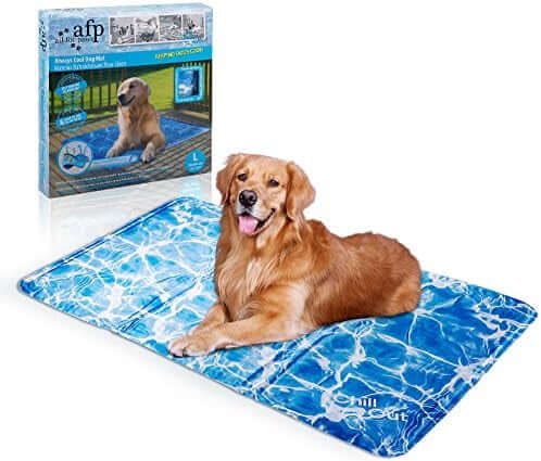 All For Paws Chill Out Always Cool Dog Mat Large