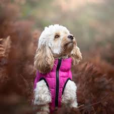 Hugo & Hudson reversible pink & grey coat size 40