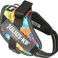 Julius -K9 IDC Power Harness Crazy XS Mini Mini