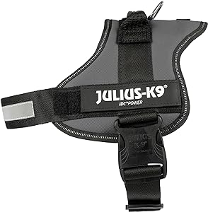 Julius k9 IDC?-Powerharness, Size: 0, grey