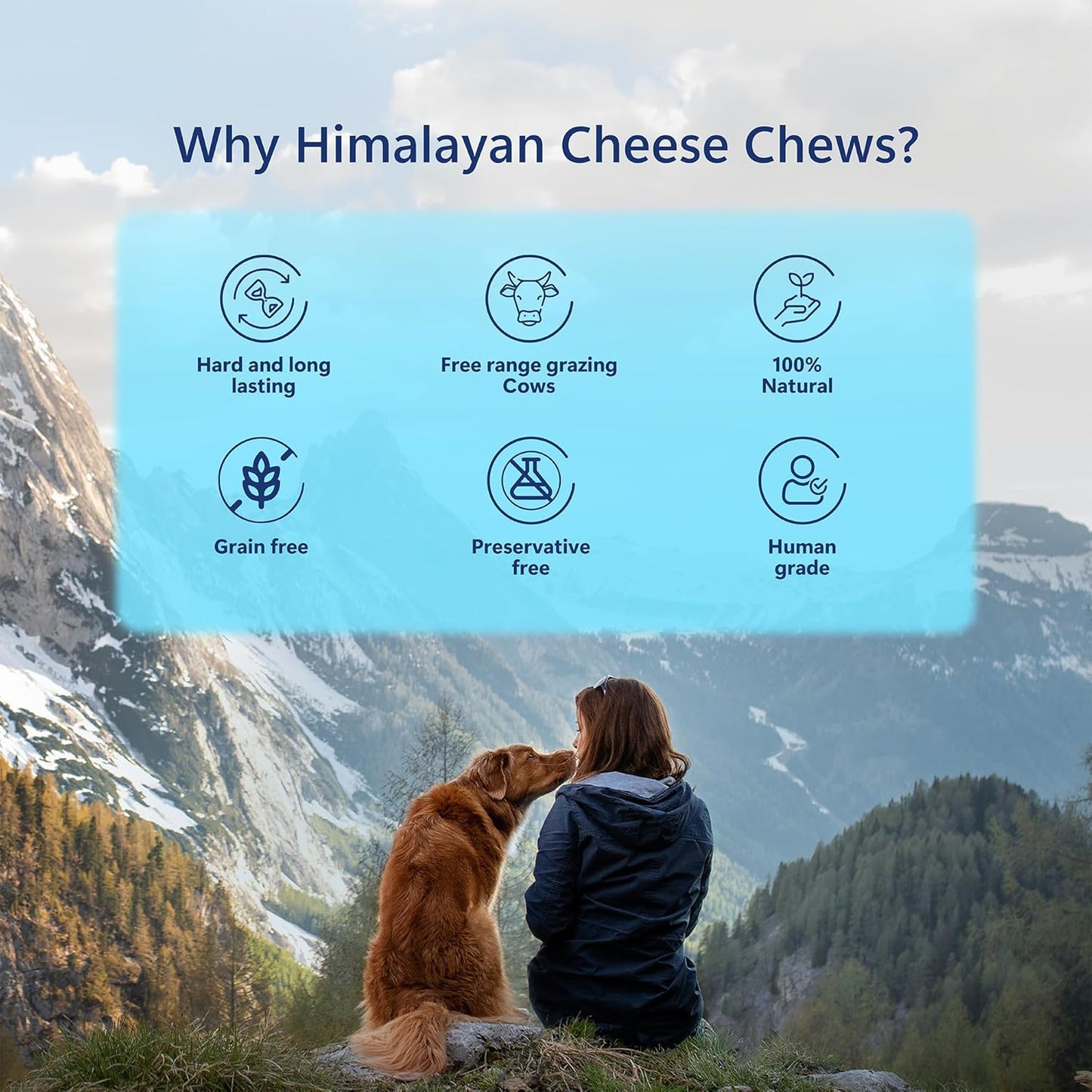 Pawfect Himalayan Cheese Chews Aloe vera