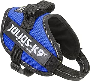 Julius k9 IDC?-Powerharness , Size: Mini, Blue