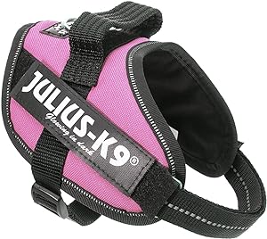 Julius k9 IDC?-Powerharness, Size: Mini, Pink