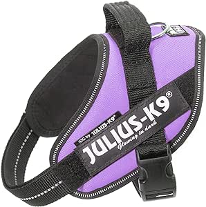 Julius k9 IDC?-Powerharness, Size: Mini, Purple