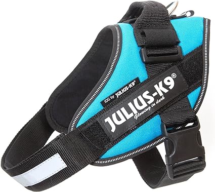 Julius k9 IDC?-Powerharness, Size: Mini-Mini, petrol-green