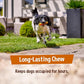 Pawfect Himalayan Cheese Dog Chews with Mango Large