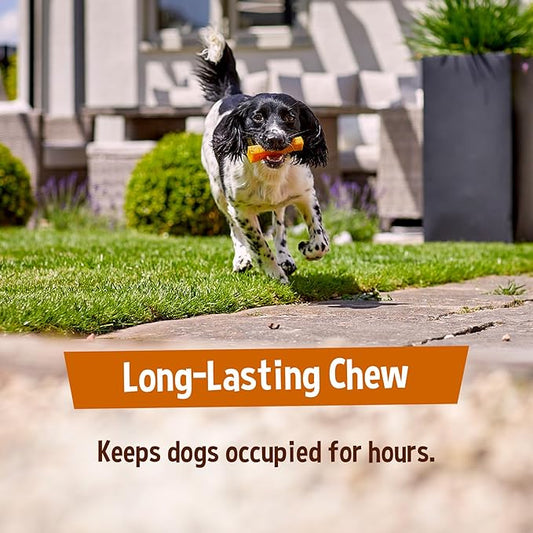 Pawfect Himalayan Cheese Dog Chews with Mango Large