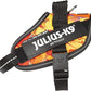 Julius -K9 IDC Power Harness Crazy XS Mini Mini