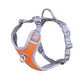 Hurtta Venture No-Pull Harness Buckthorn 35-40cm