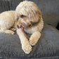 Redwood 24cm Pizzle
