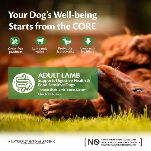 Wellness Core Lamb 1.8kg