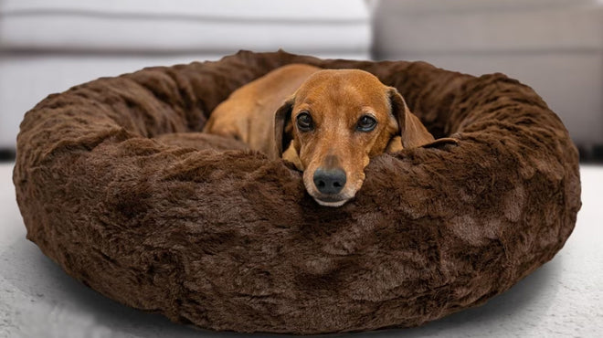 Redwood Anti-Anxiety Donut Dog Bed Large Dark Brown 100cm