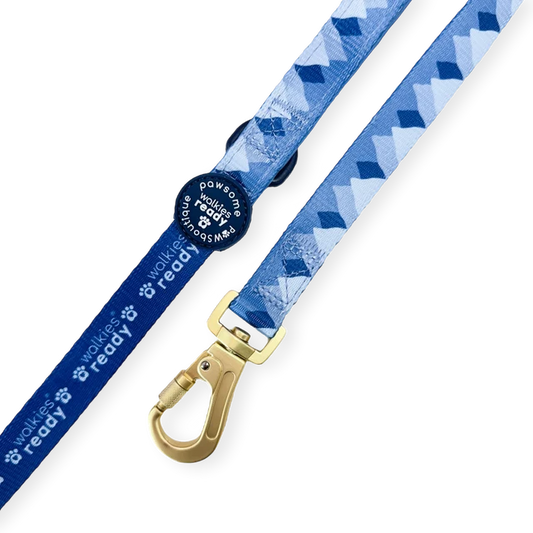 Pawsome Paws Boutique CornflowerBlue 3 - 5ft Adjustable Lead