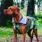 dryrobe Dog Robe Green Camo Grey S