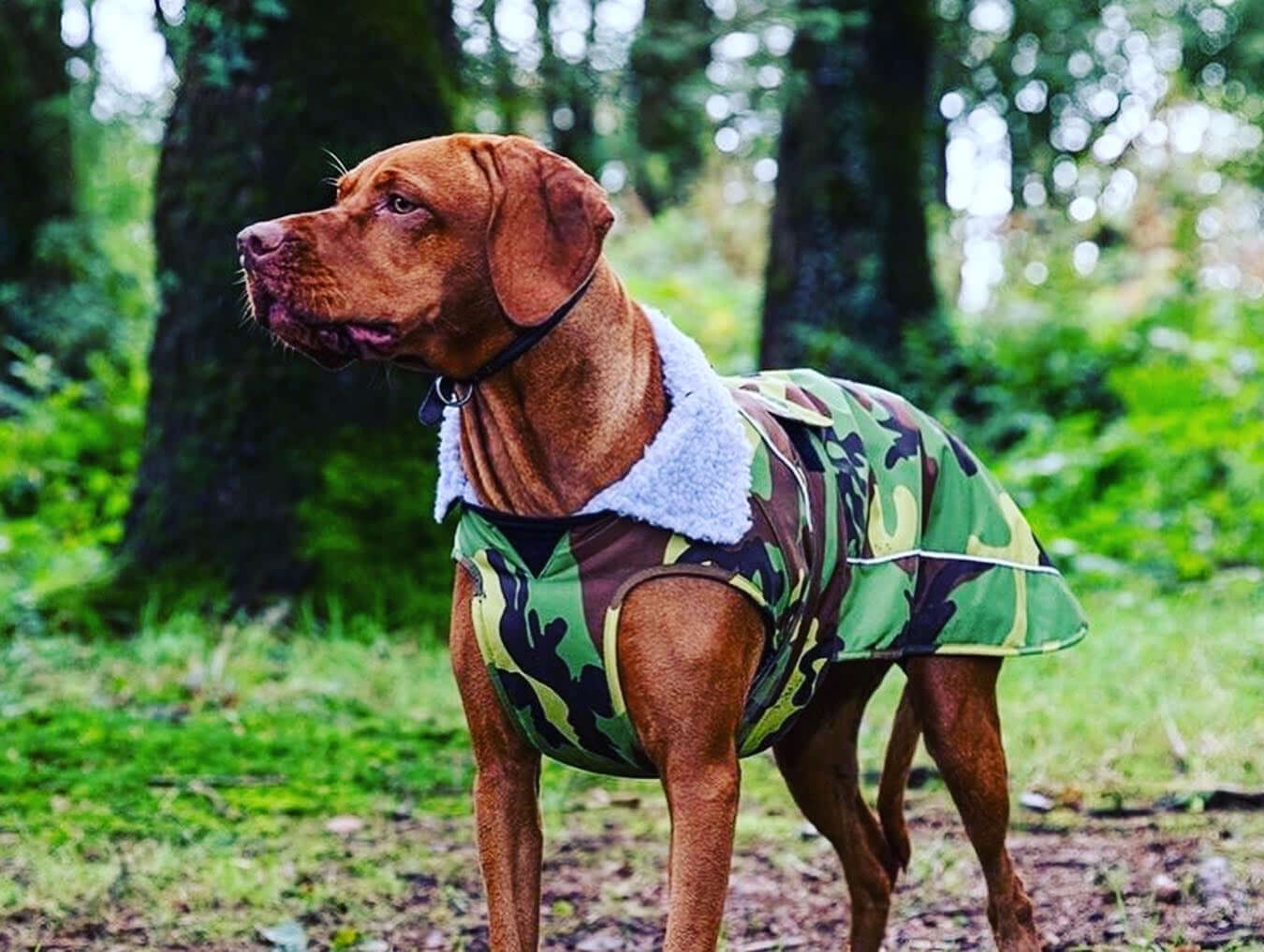 dryrobe Dog Robe Green Camo Grey S