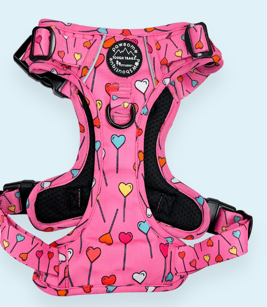 Pawsome Paws Tough Trails Harness - Candypop - Extra Small XS