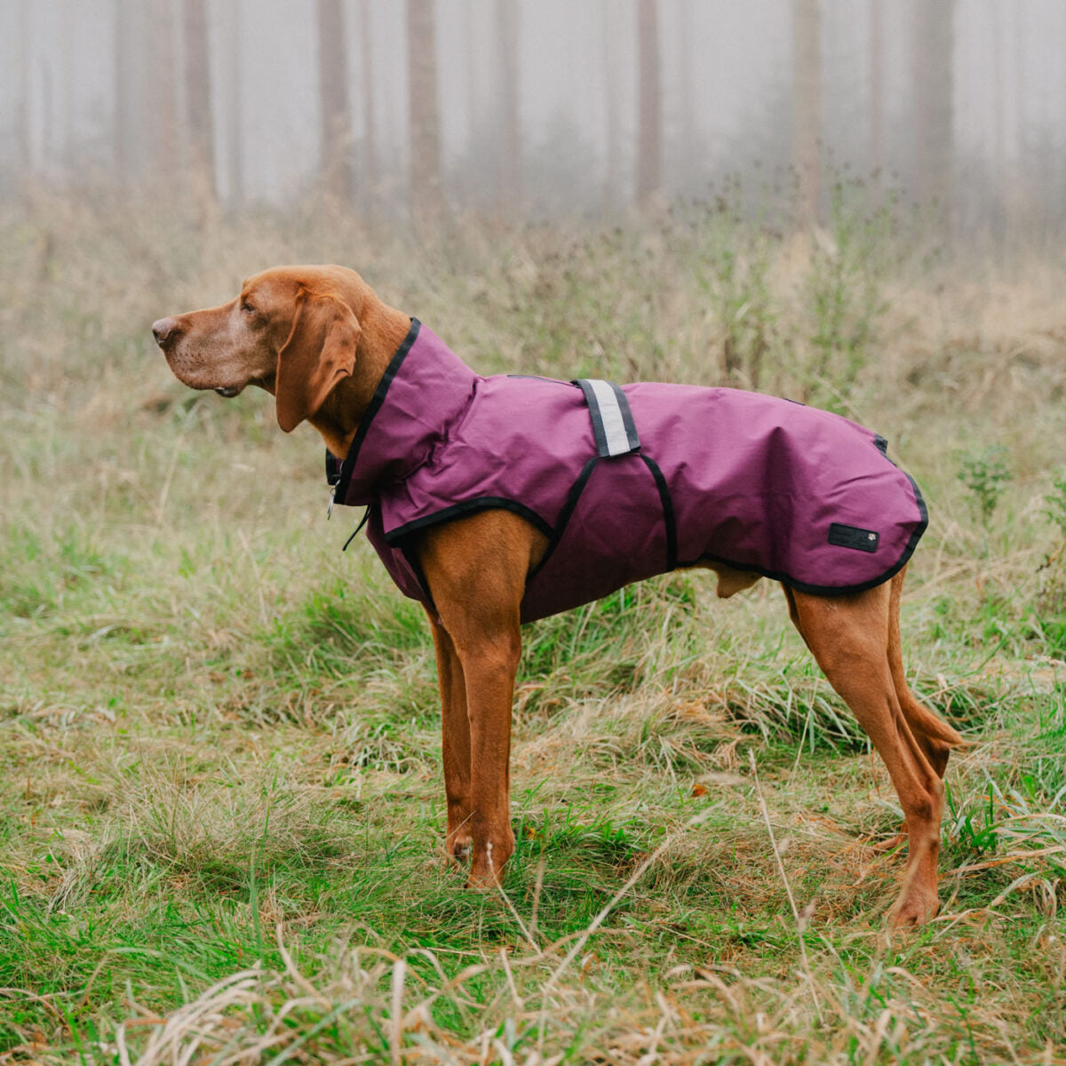 Danish Design Dog Coat Plum XS 25cm
