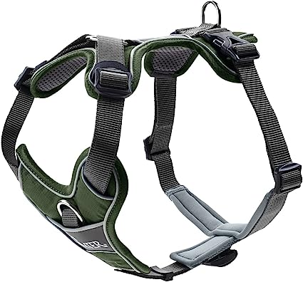 Harness Divo 34-47/XS Nylon/Polyester green/grey