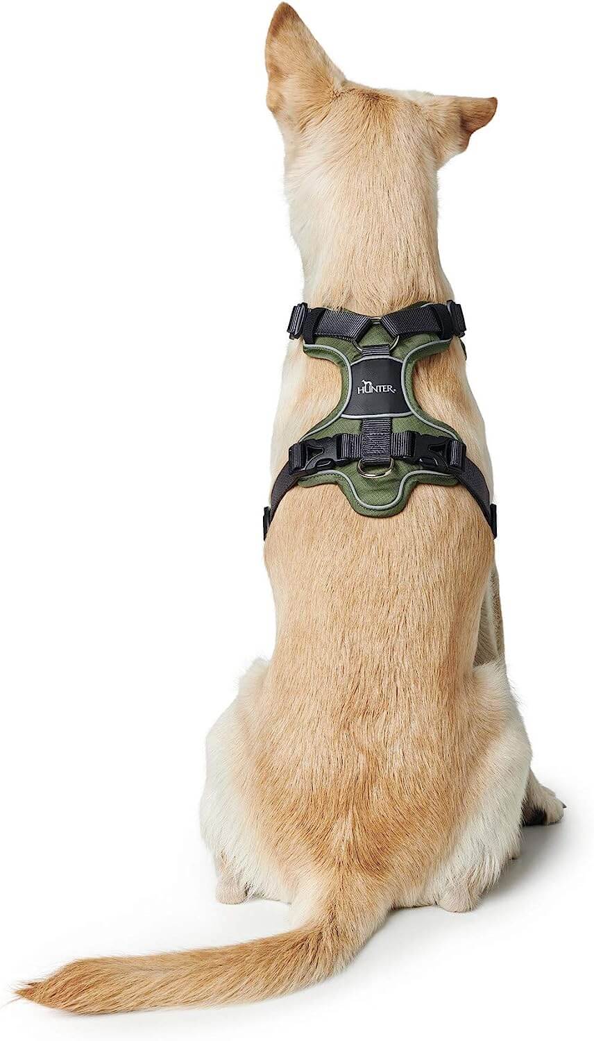 Hunter Harness Divo 56-73/M Nylon/Polyester green/grey