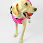 Dryrobe Dog Pink/Black XS