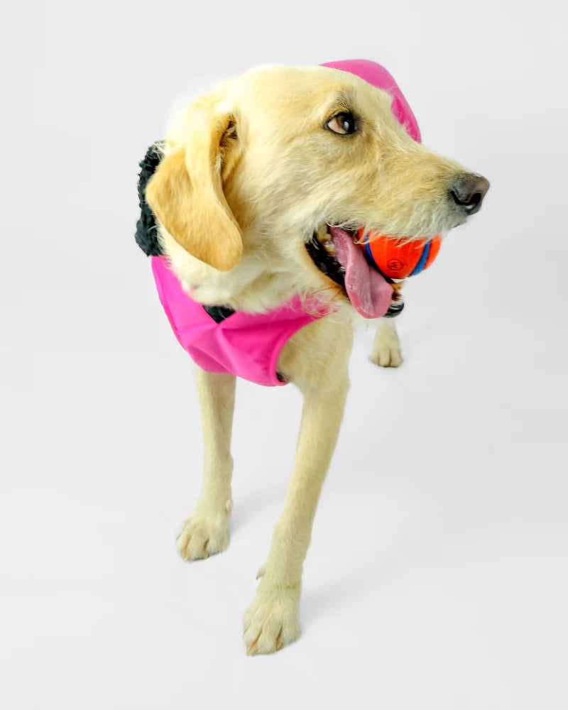 Dryrobe Dog Pink/Black XS