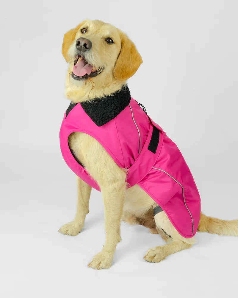 Dryrobe Dog Pink/Black S