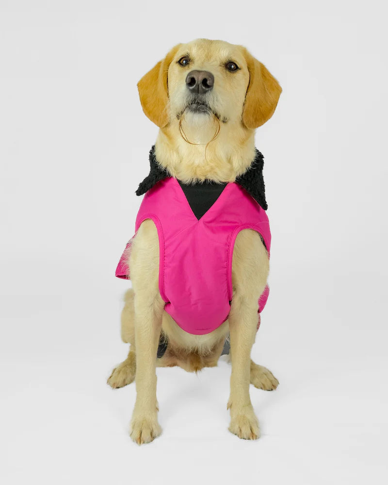 Dryrobe Dog Pink/Black XS