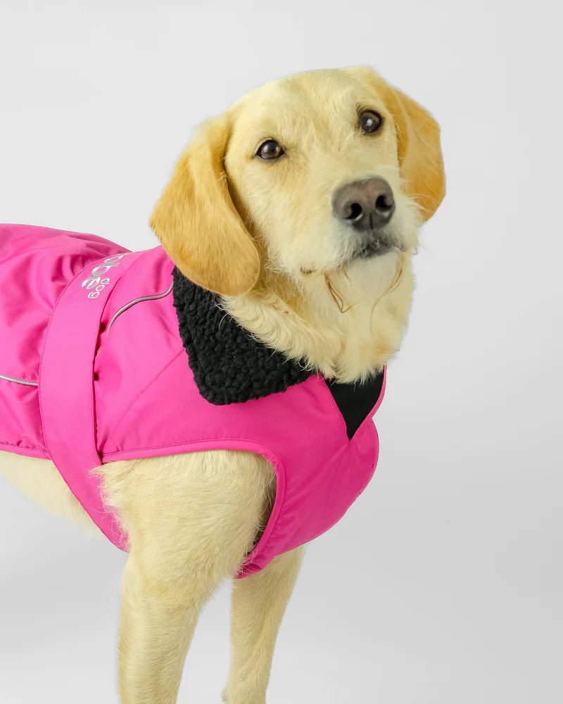 Dryrobe Dog Pink/Black XS