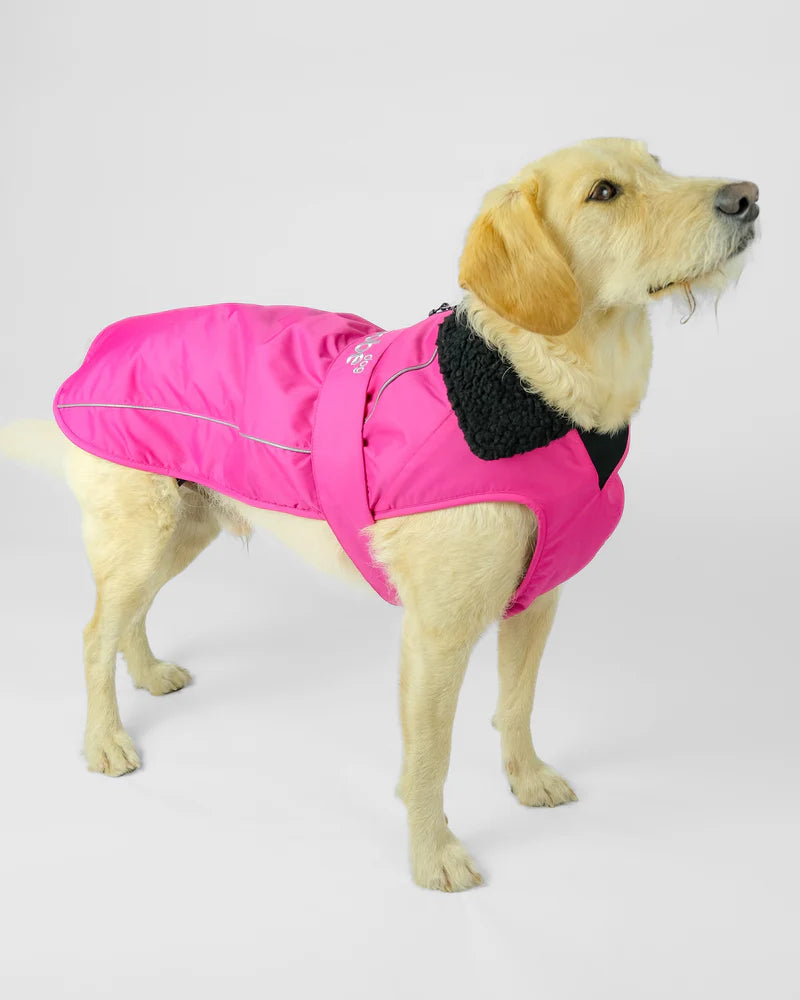 Dryrobe Dog Pink/Black S