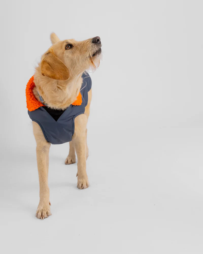 Dryrobe Dog Dark Grey/Orange Large