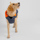 Dryrobe Dog Dark Grey/Orange S