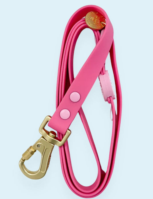 Pawsome Paws Waterproof Lead Wine