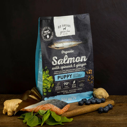 Go Native Puppy Salmon with Spinach and Ginger 12kg