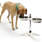 George Barclay Height Adjustable Double Feeding Bowl