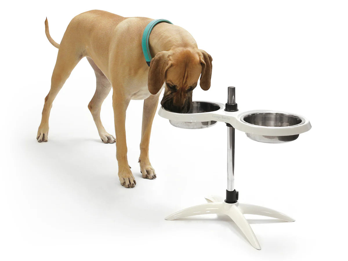 George Barclay Height Adjustable Double Feeding Bowl