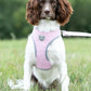 Hugo & Hudson Large Pink Herringbone Dog Harness