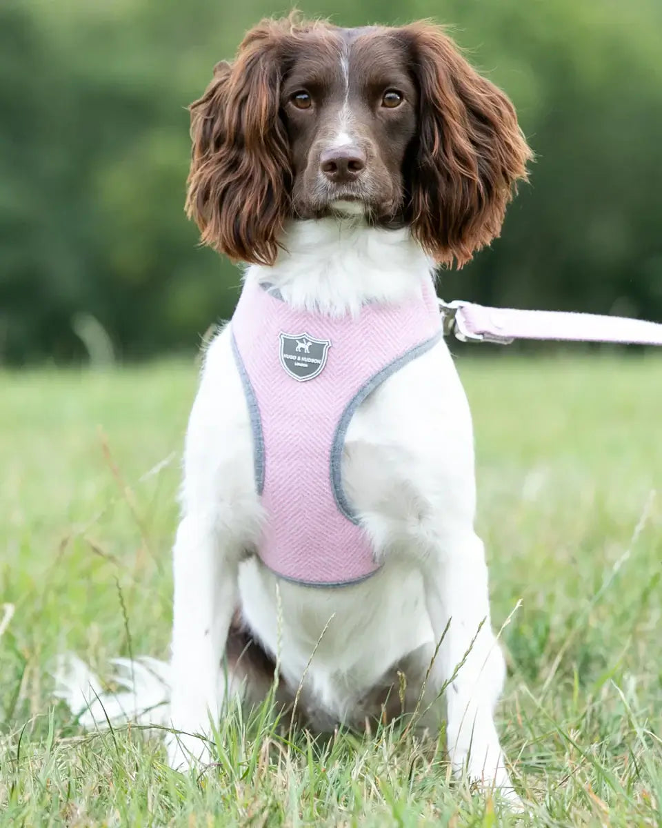 Hugo & Hudson Large Pink Herringbone Dog Harness