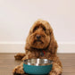 Rosewood Double Walled Stainless Steel Bowl Teal 350ml