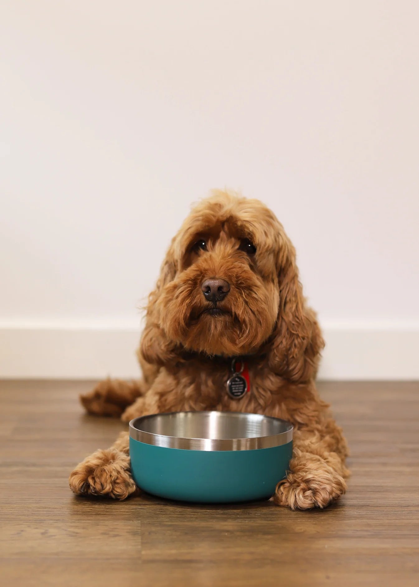 Rosewood Double Walled Stainless Steel Bowl Teal 350ml
