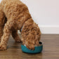 Rosewood Double Walled Stainless Steel Bowl Teal 350ml