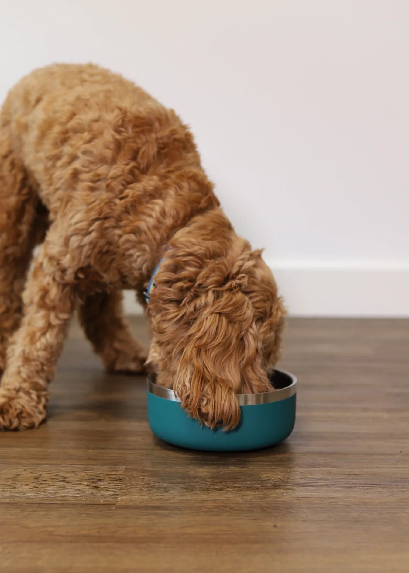 Rosewood Double Walled Stainless Steel Bowl Teal 350ml