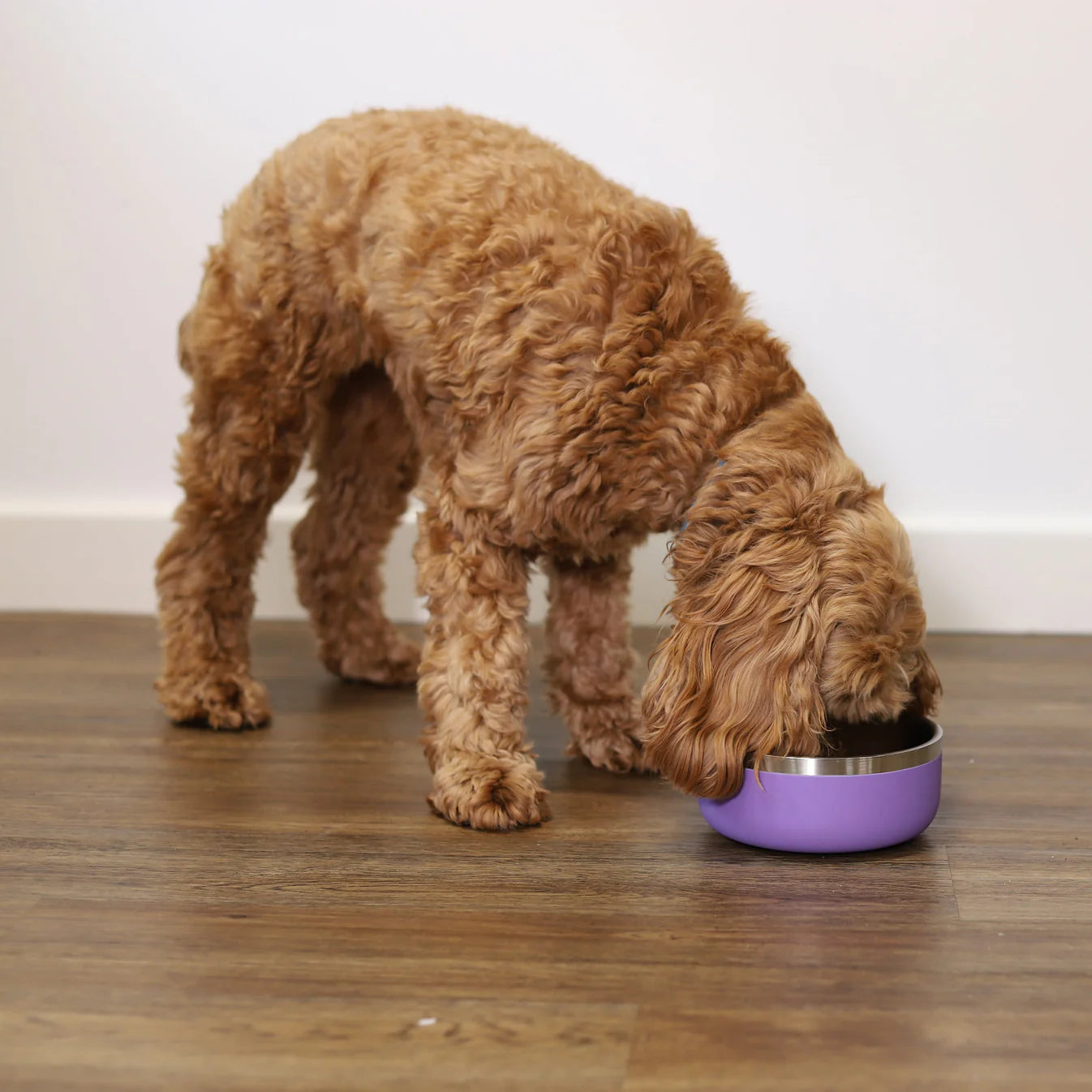 Rosewood Double Walled Stainless Steel Bowl Lilac 350ml