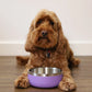 Rosewood Double Walled Stainless Steel Bowl Lilac 350ml