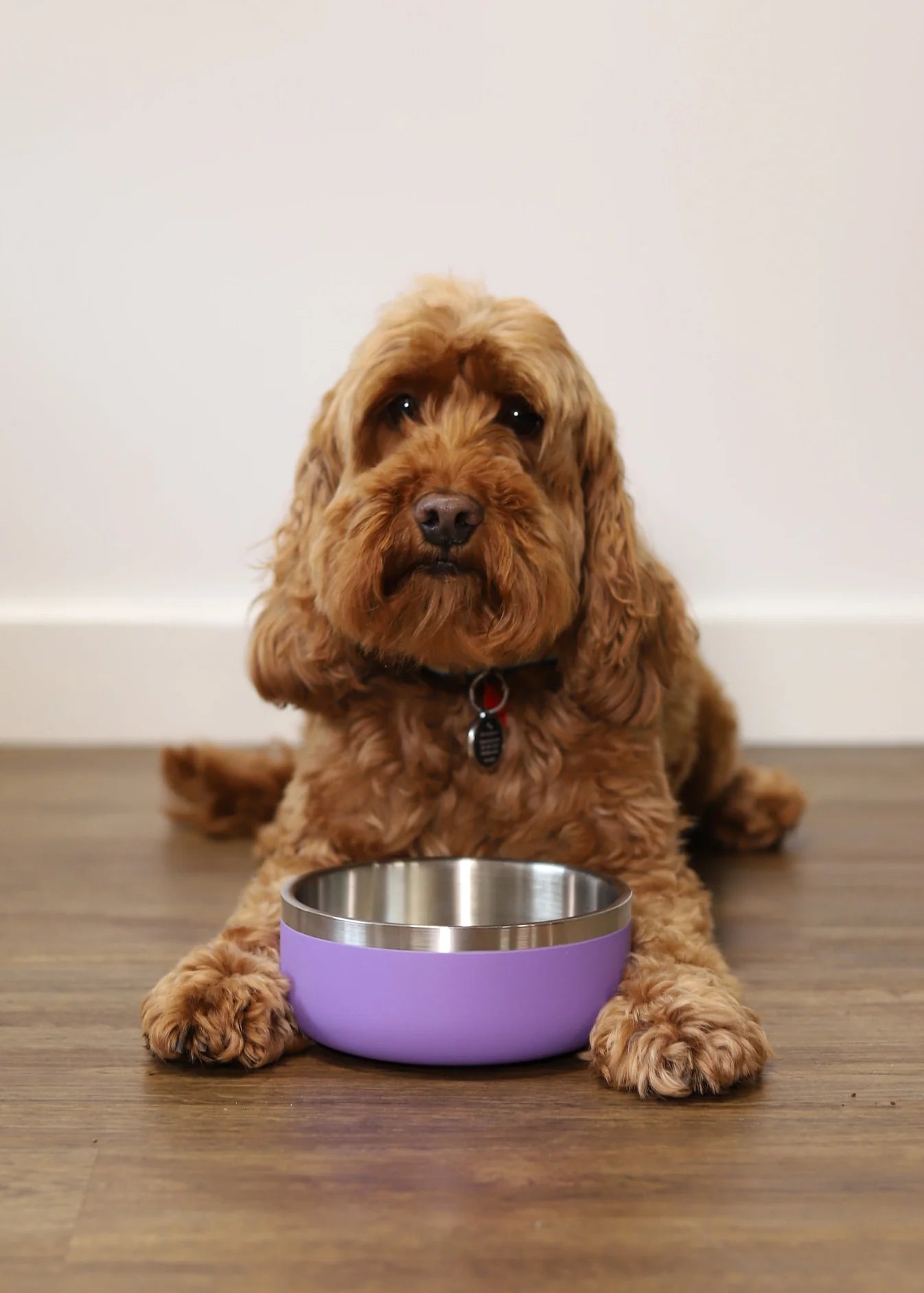 Rosewood Double Walled Stainless Steel Bowl Lilac 350ml