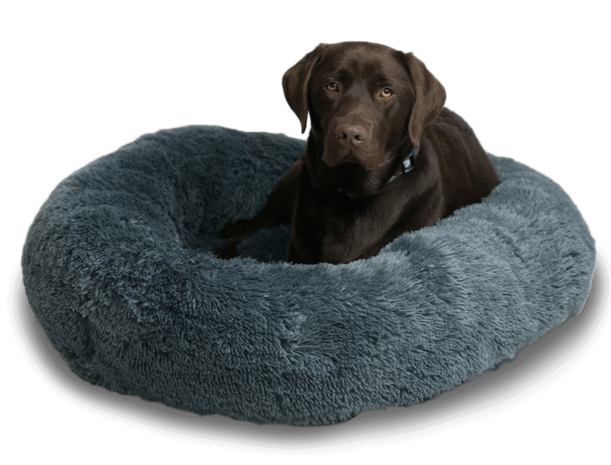 EcoPets Anti Anxiety Large Dark Grey Donut Bed